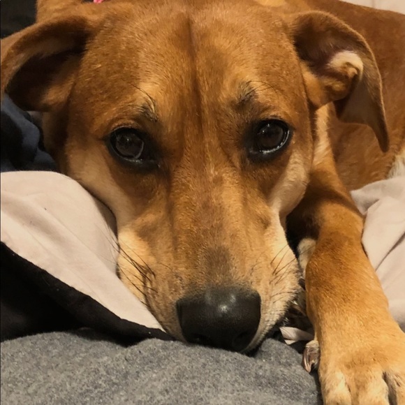 Meet your Posher, Tennison - Picture 1 of 1